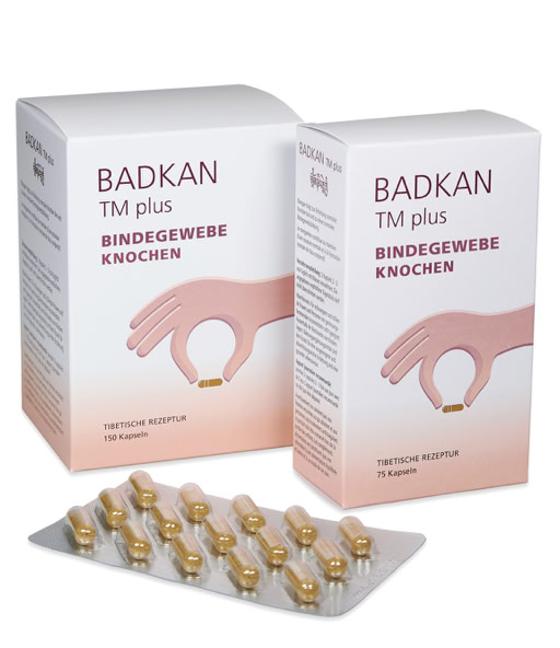 Bindegewebe / Knochen
